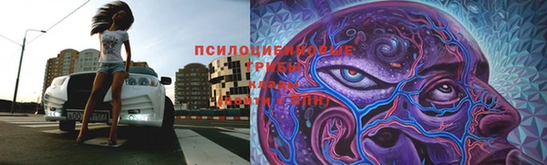 кристаллы Новокубанск