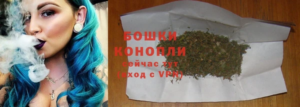 дживик Новозыбков