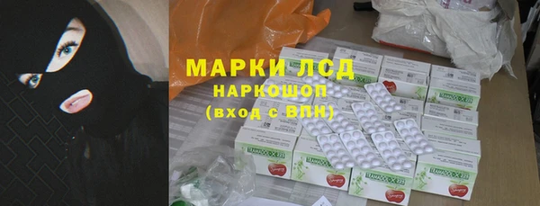 соль ск Новодвинск