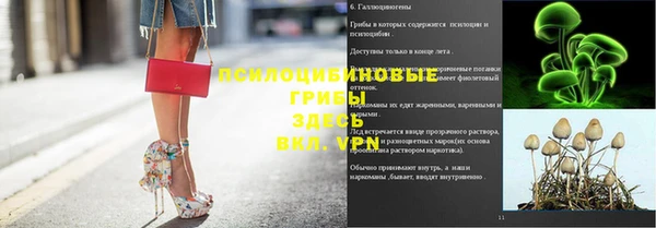 соль ск Новодвинск