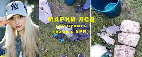 дживик Новозыбков