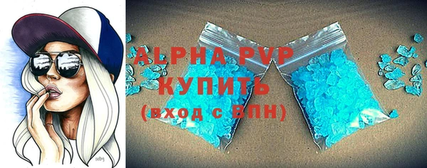 соль ск Новодвинск