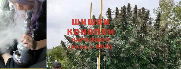 дживик Новозыбков