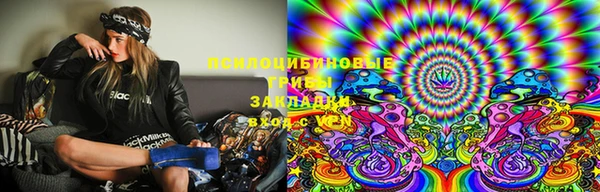 соль ск Новодвинск