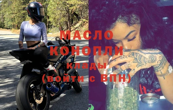 дживик Новозыбков