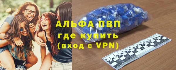 дживик Новозыбков