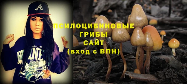 кристаллы Новокубанск