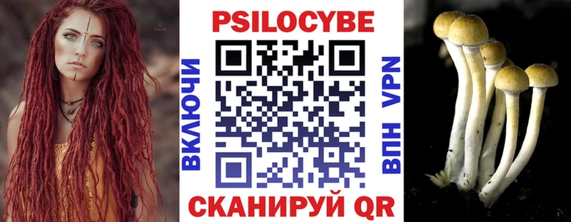 Псилоцибиновые грибы GOLDEN TEACHER  Киров 
