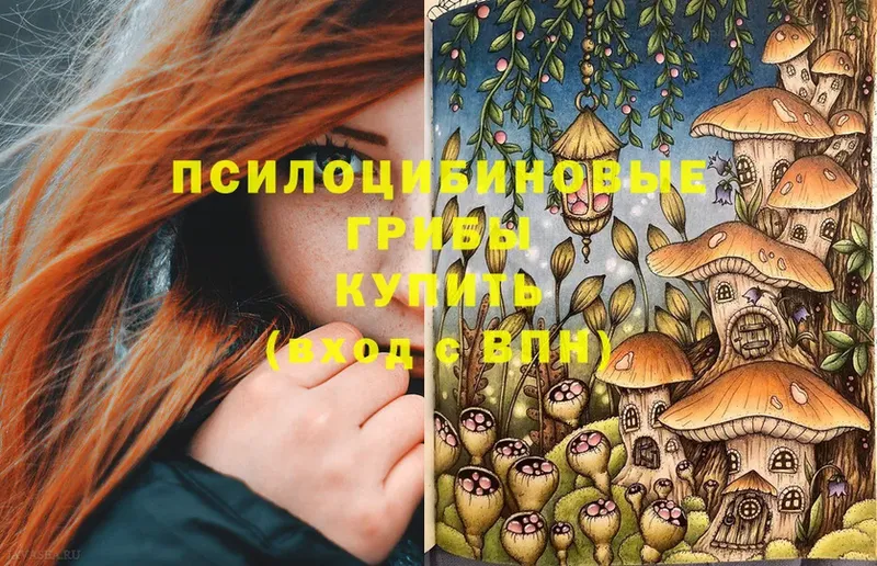 Галлюциногенные грибы Psilocybe Киров