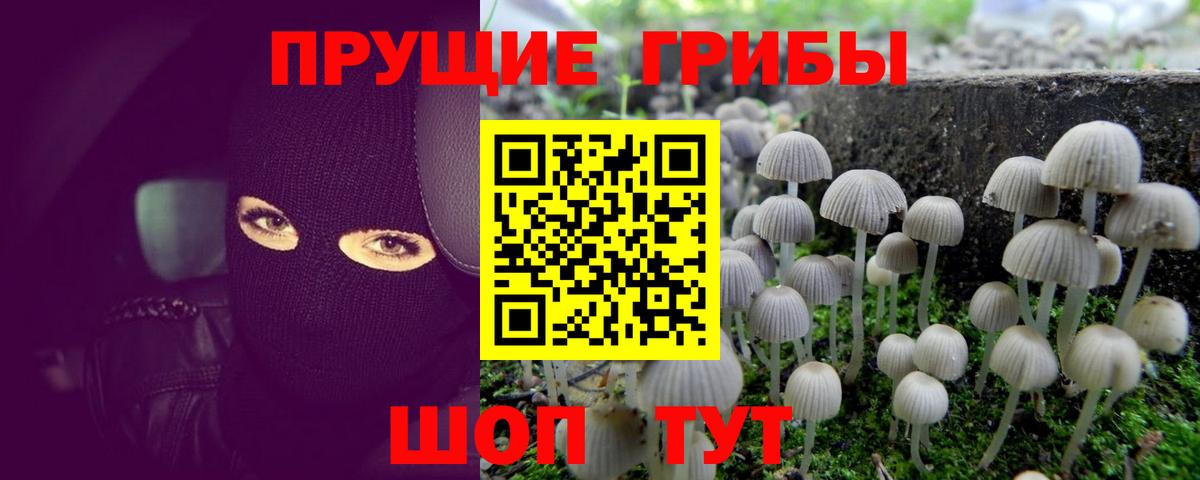 Псилоцибиновые грибы мухоморы Киров